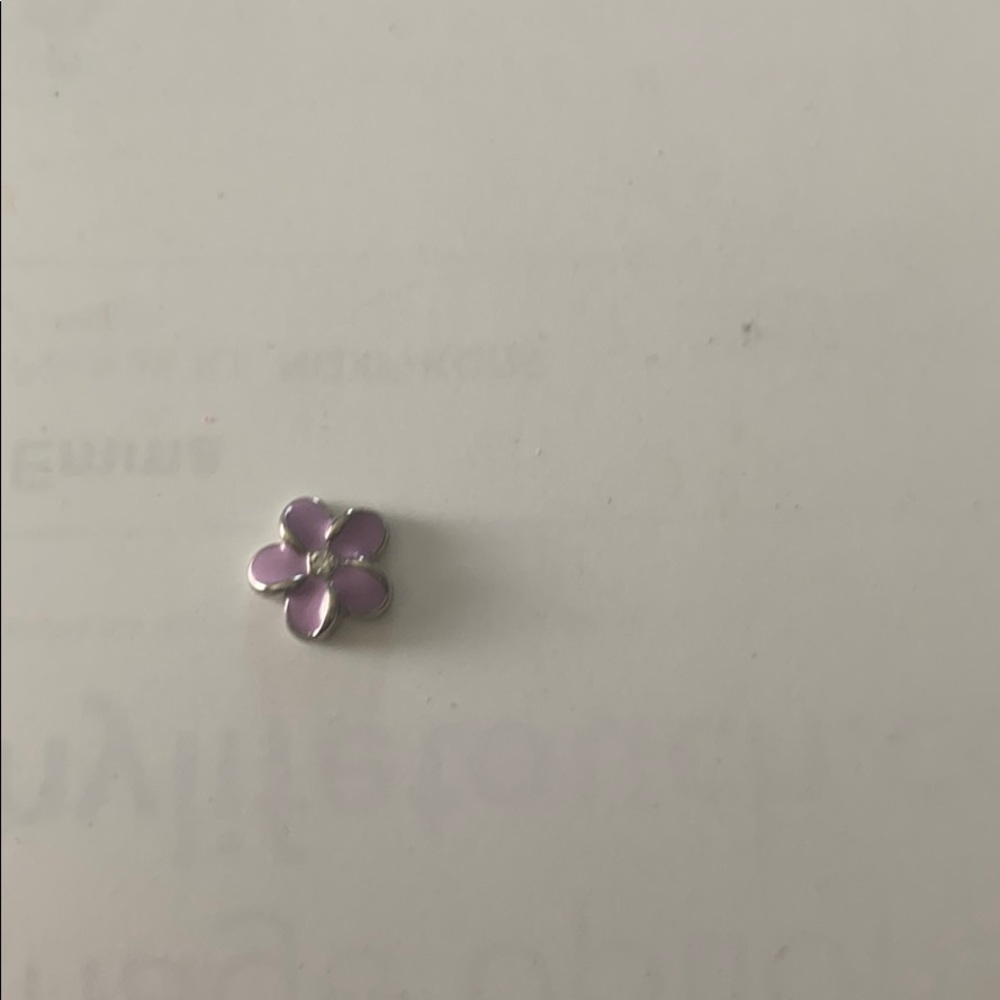 Origami Owl Charm